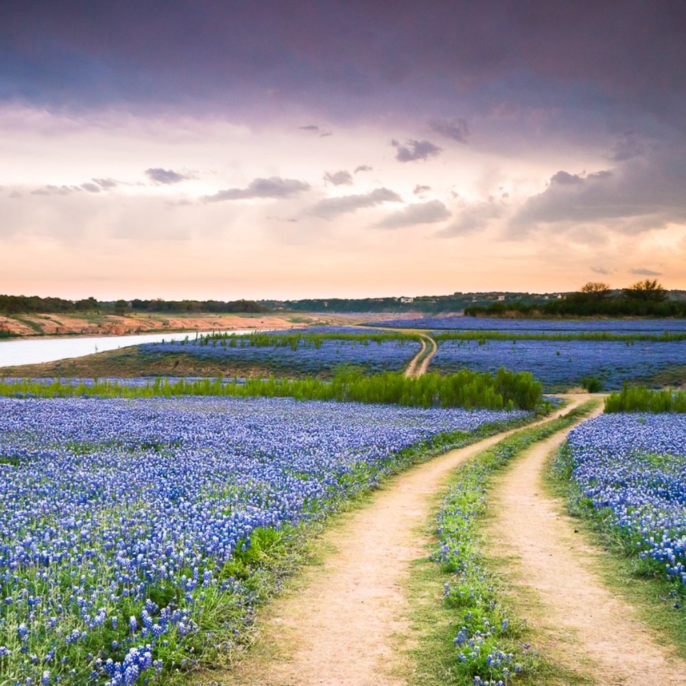 Meet your Posher, Kali